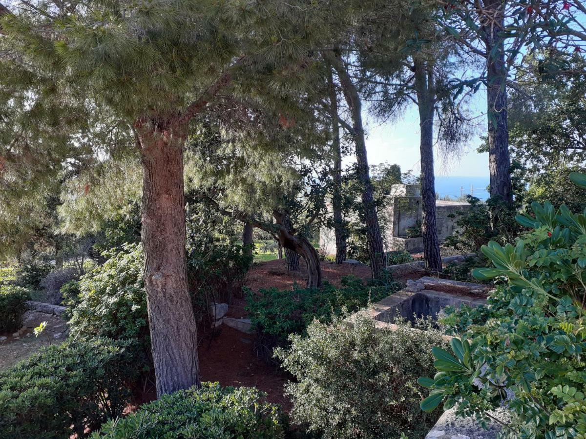 Casa "Le Terrazze" Villa Erice Exterior photo
